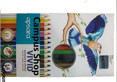 Apsara ViViD Premium & Vibrant Round Color Pencils – 14 Shades (Multicolor)
